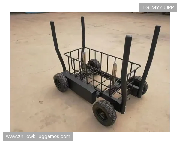 部队使用的健身器材新闻及专业设备推荐